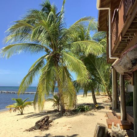 Reef Beach House - 2 Bedrooms Sandy Bay Exterior photo